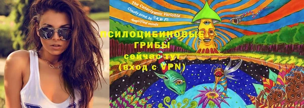 мяу мяу кристалл Дмитров