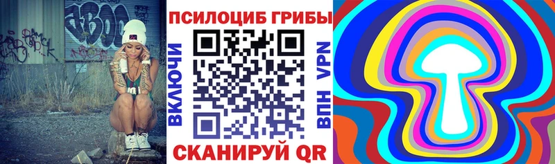 Галлюциногенные грибы прущие грибы  Купить закладки  Кочубеевское 